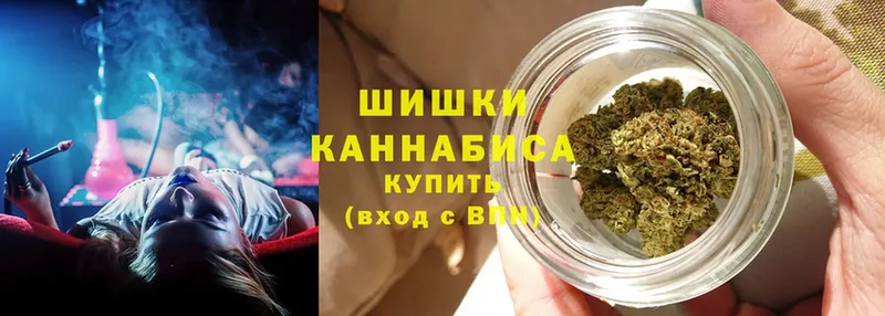 Канабис Ganja  Верея 